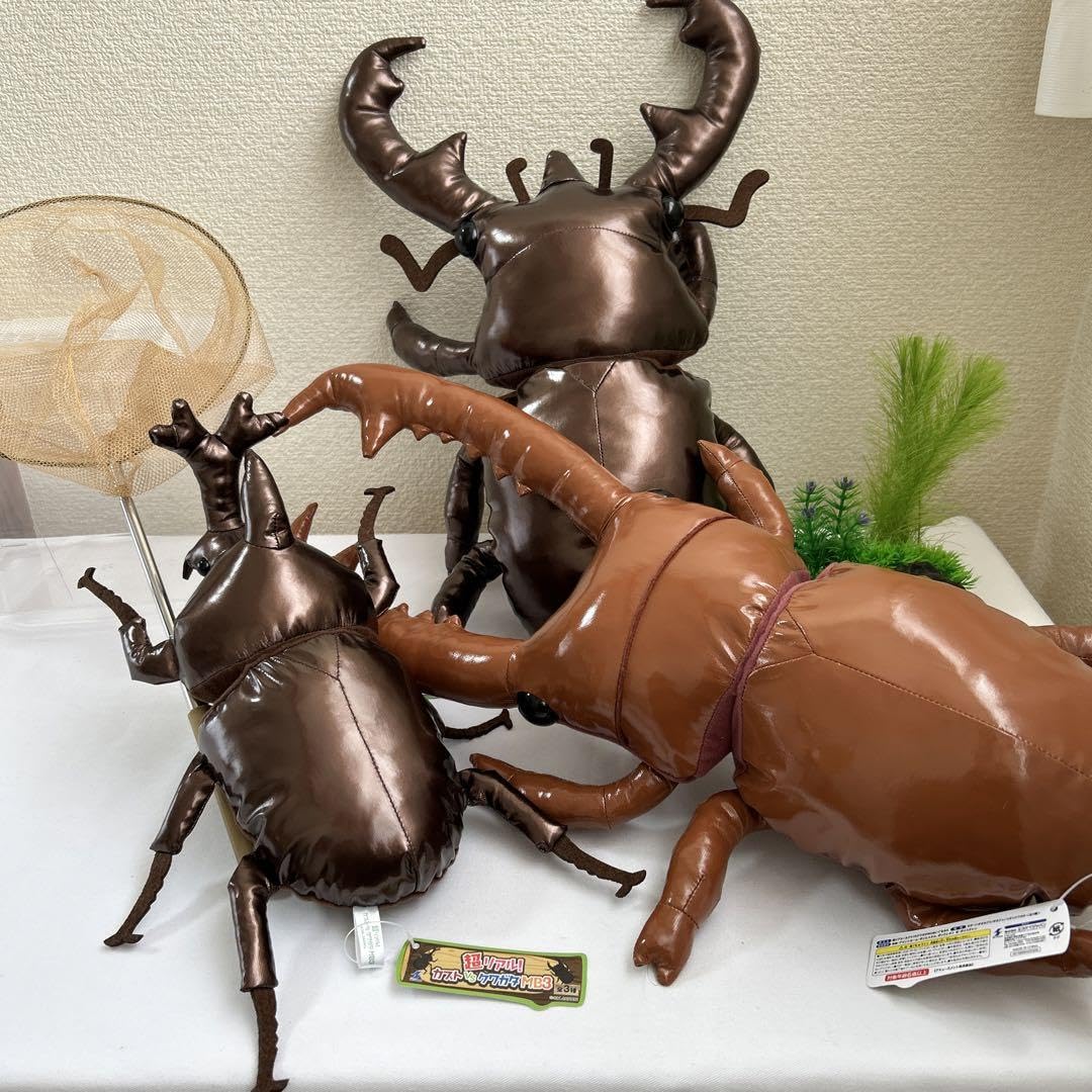 リアル 昆虫 カブトムシ クワガタ マスコット 3種 楽天市場】カブトムシ クワガムシ リアル昆虫マスコット